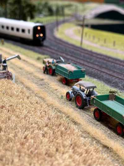 IMG-20260308-WA0021