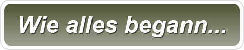 Wie alles begann...